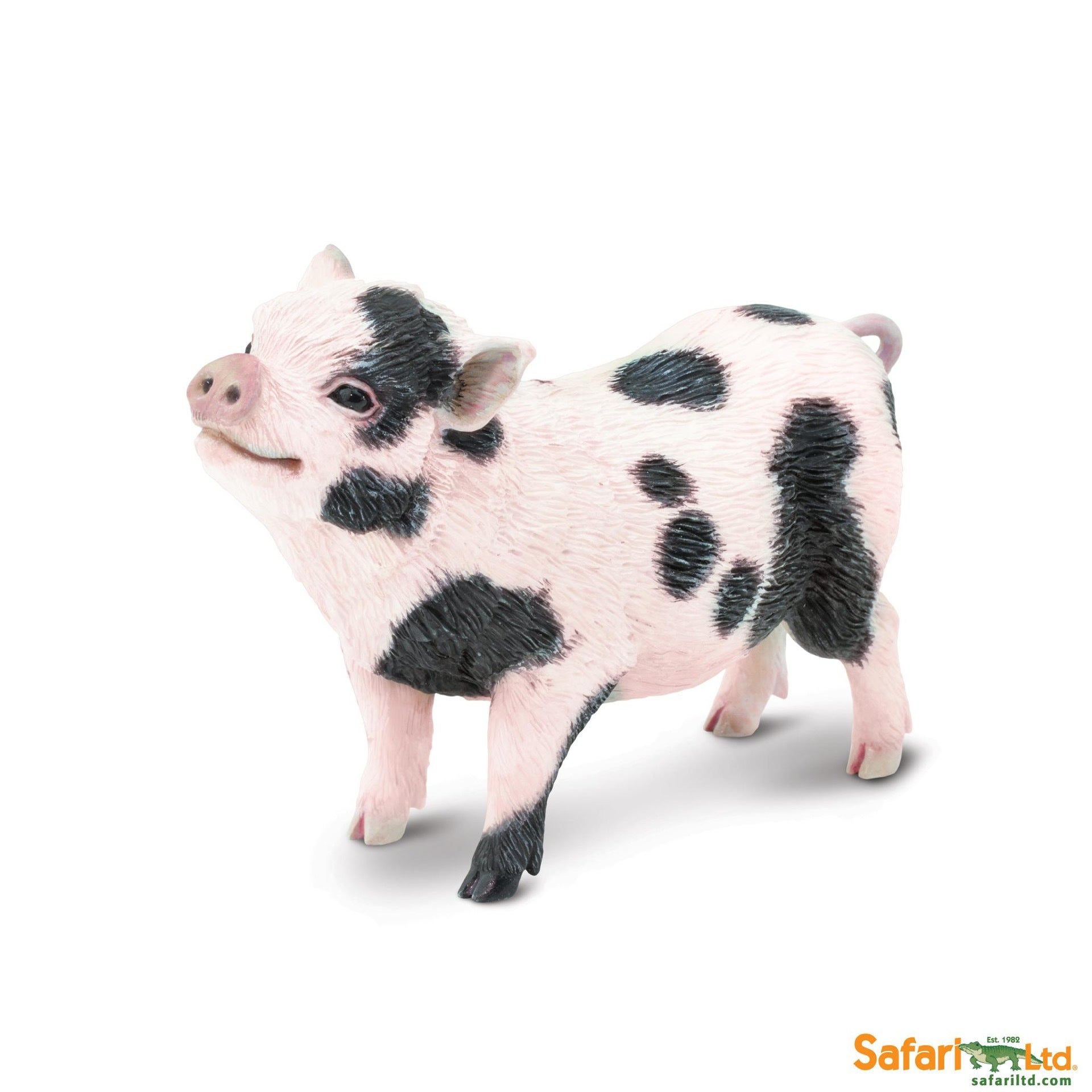 Pot Bellied Pig Safari Ltd